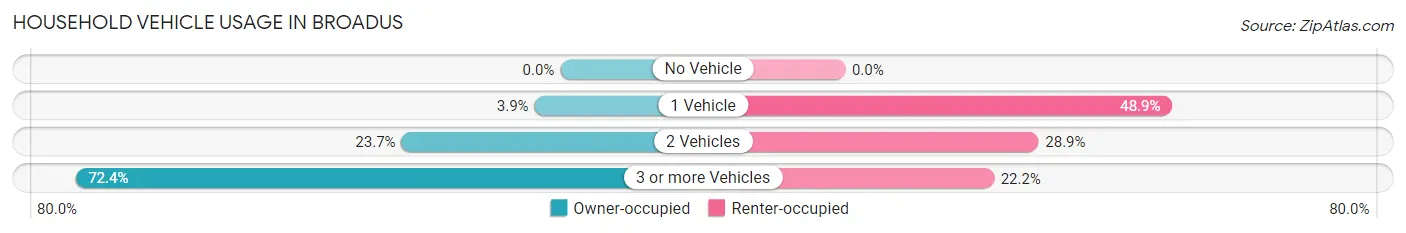 Household Vehicle Usage in Broadus