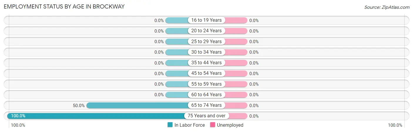 Employment Status by Age in Brockway