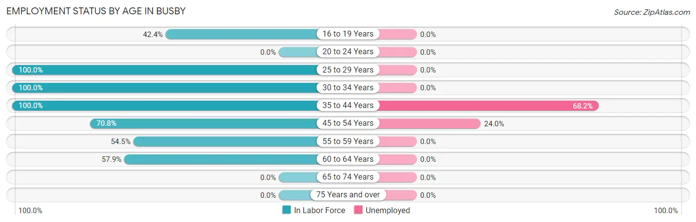 Employment Status by Age in Busby