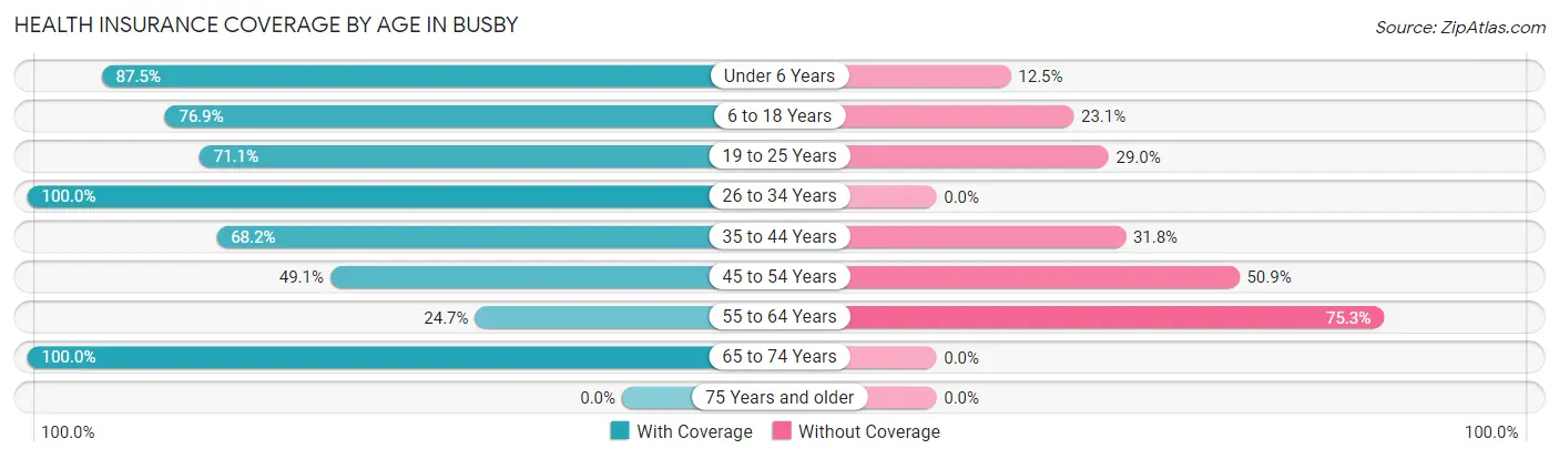 Health Insurance Coverage by Age in Busby