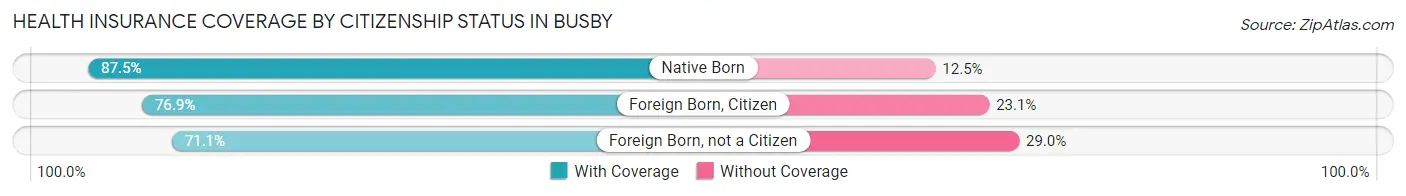 Health Insurance Coverage by Citizenship Status in Busby