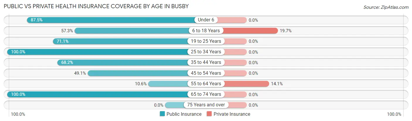 Public vs Private Health Insurance Coverage by Age in Busby