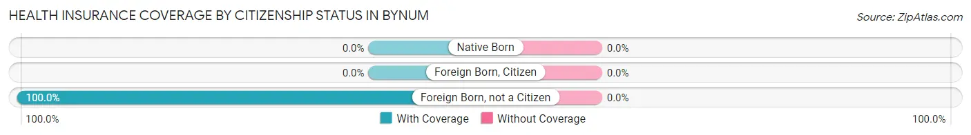 Health Insurance Coverage by Citizenship Status in Bynum