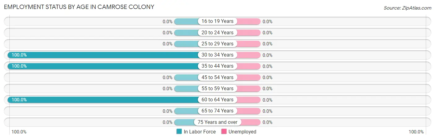 Employment Status by Age in Camrose Colony