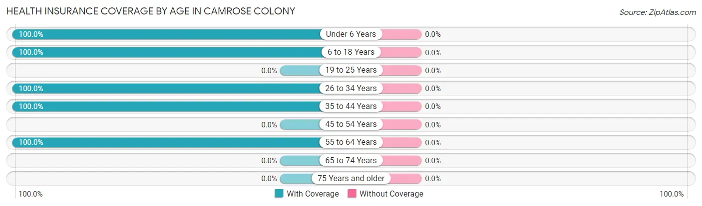 Health Insurance Coverage by Age in Camrose Colony