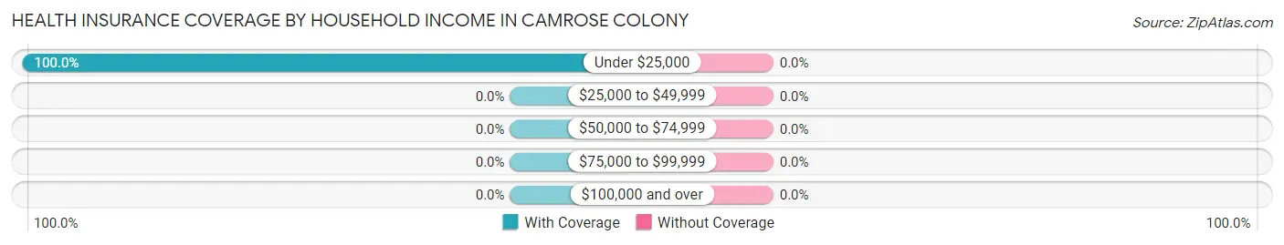 Health Insurance Coverage by Household Income in Camrose Colony