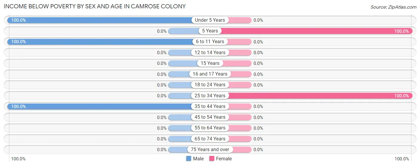 Income Below Poverty by Sex and Age in Camrose Colony
