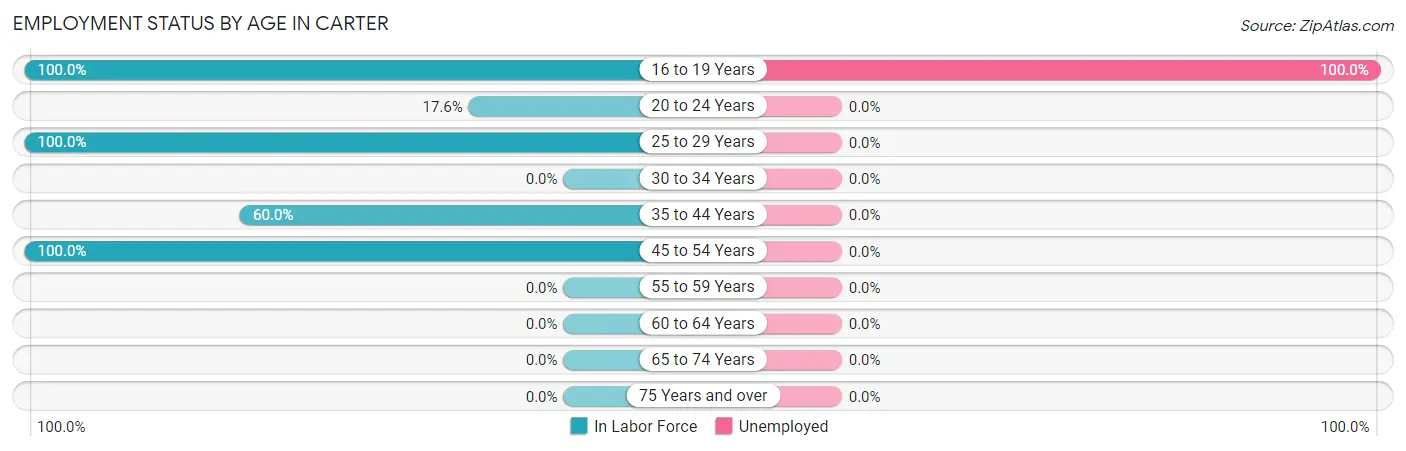 Employment Status by Age in Carter