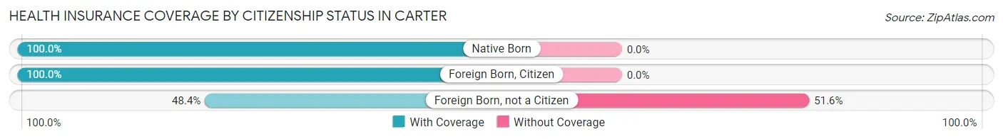 Health Insurance Coverage by Citizenship Status in Carter