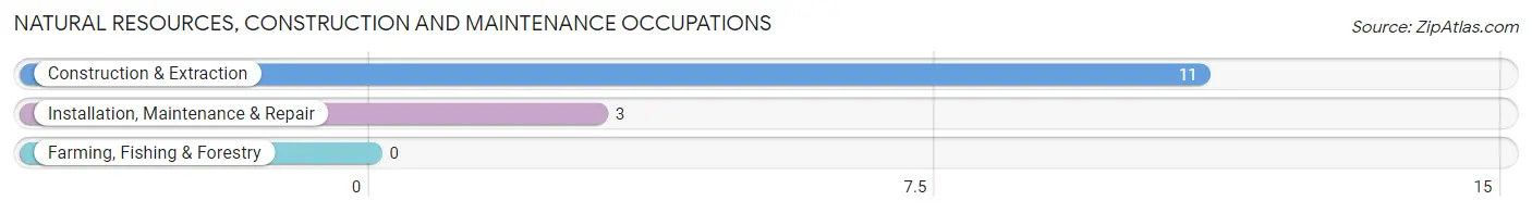 Natural Resources, Construction and Maintenance Occupations in Charlo