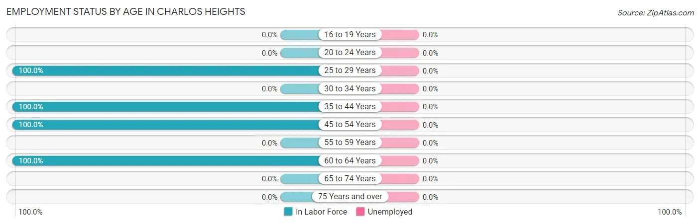 Employment Status by Age in Charlos Heights
