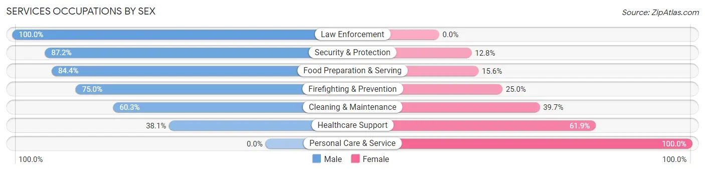 Services Occupations by Sex in Choteau