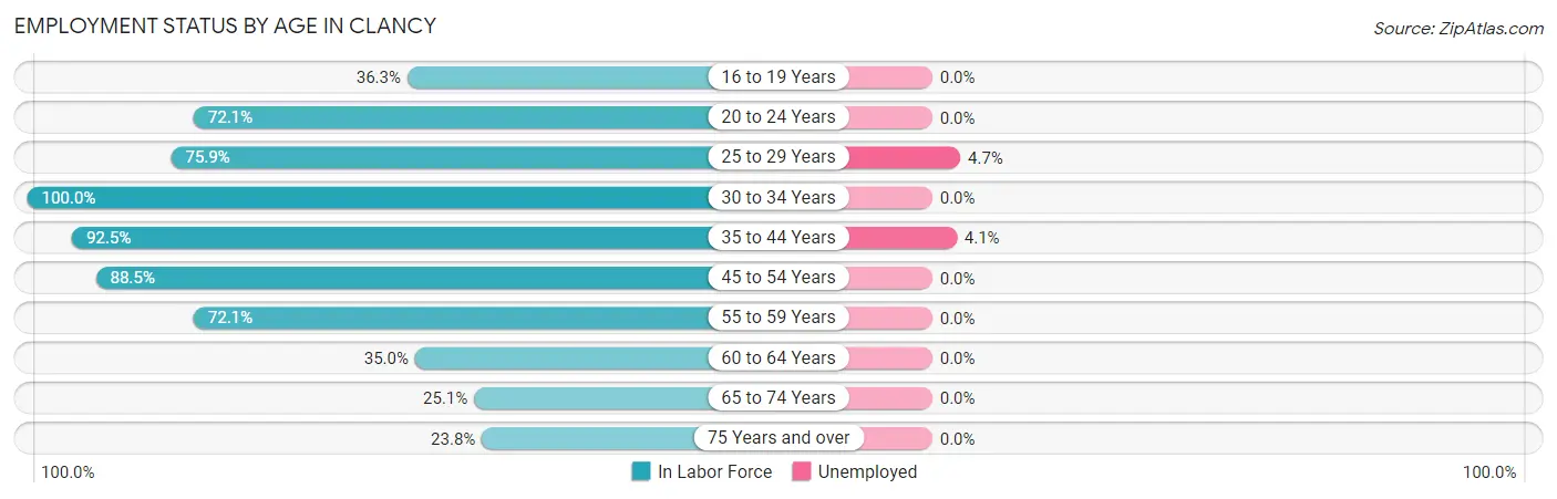 Employment Status by Age in Clancy