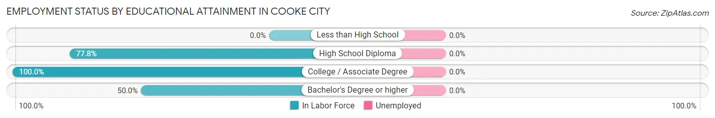 Employment Status by Educational Attainment in Cooke City