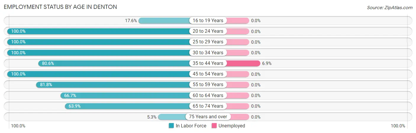 Employment Status by Age in Denton