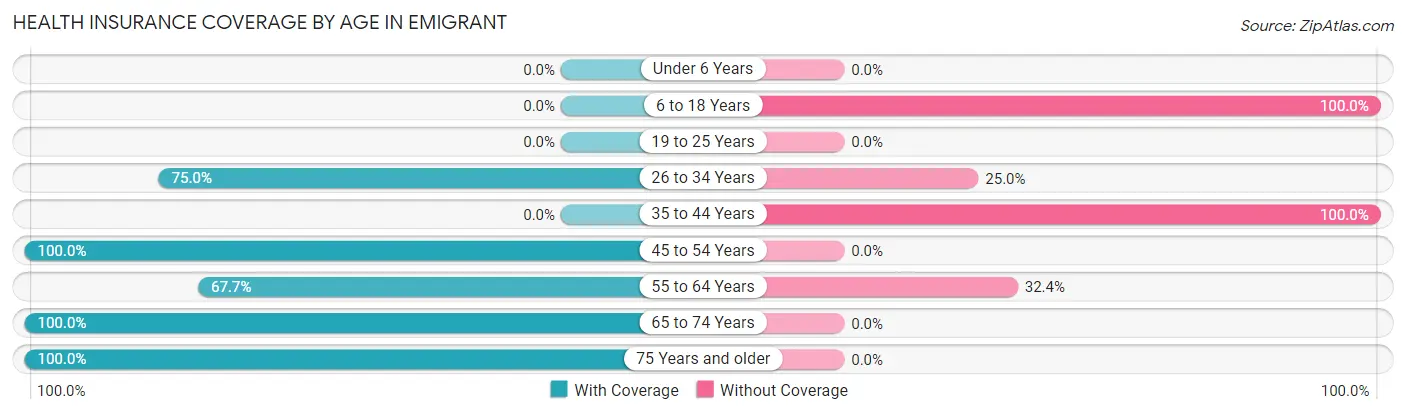 Health Insurance Coverage by Age in Emigrant