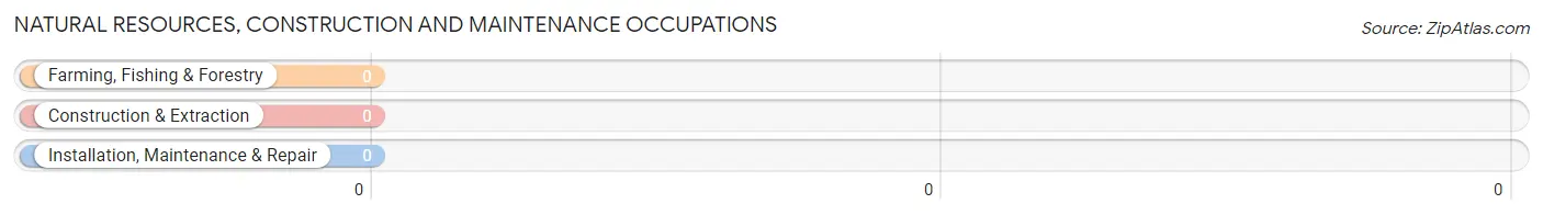 Natural Resources, Construction and Maintenance Occupations in Emigrant