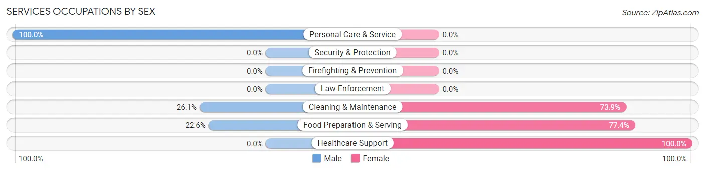 Services Occupations by Sex in Ennis
