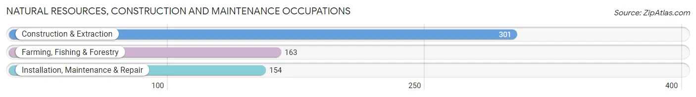 Natural Resources, Construction and Maintenance Occupations in Evergreen