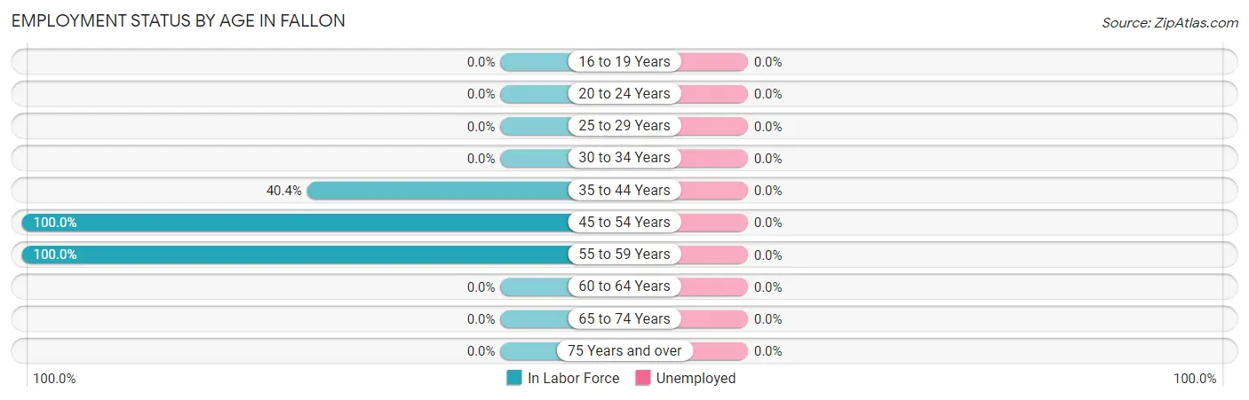 Employment Status by Age in Fallon