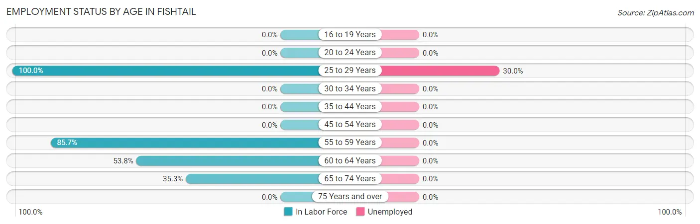 Employment Status by Age in Fishtail