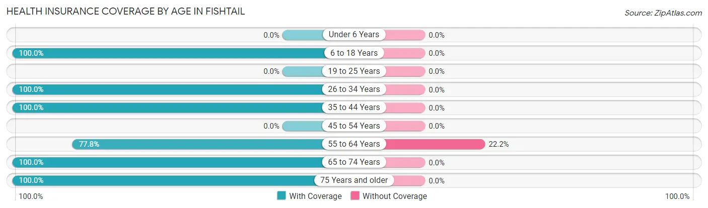 Health Insurance Coverage by Age in Fishtail