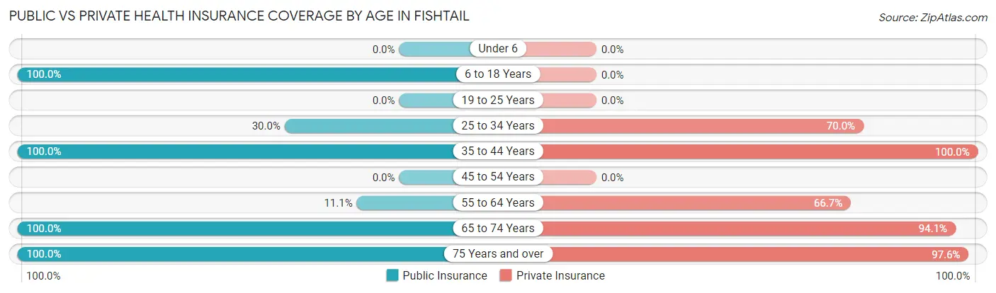 Public vs Private Health Insurance Coverage by Age in Fishtail