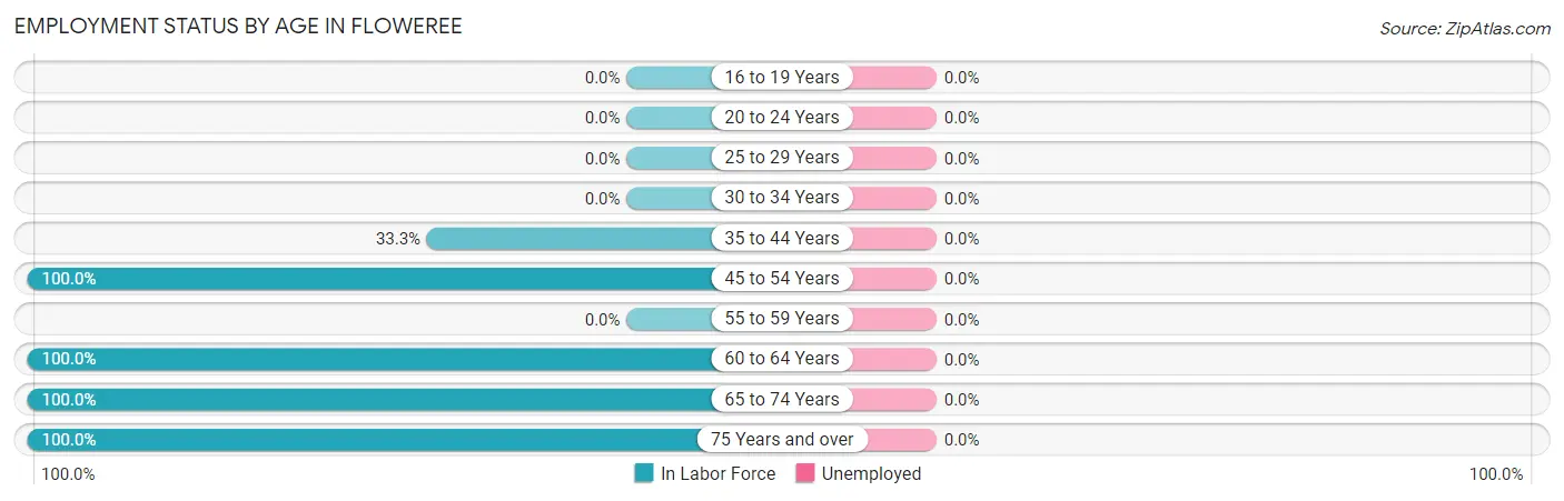 Employment Status by Age in Floweree