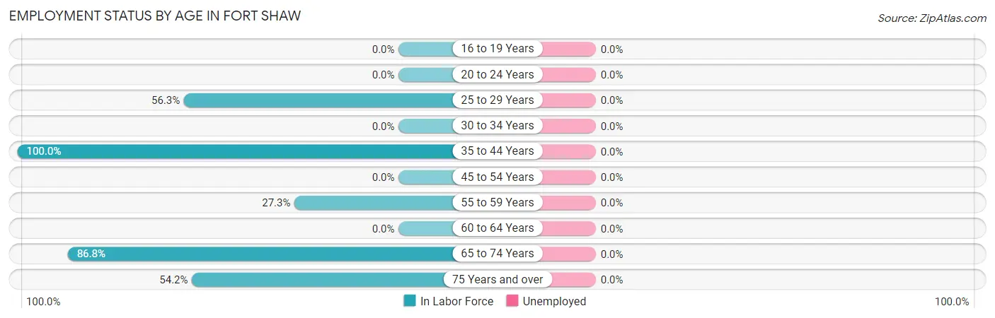Employment Status by Age in Fort Shaw