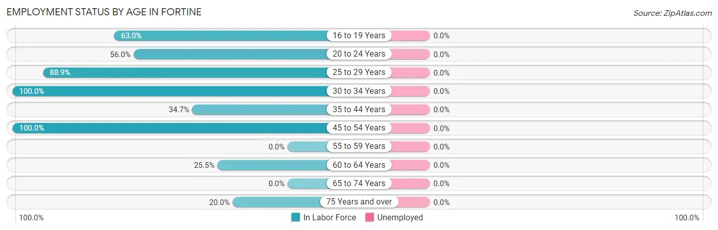 Employment Status by Age in Fortine