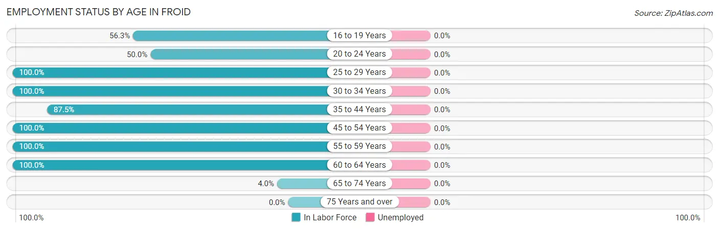 Employment Status by Age in Froid