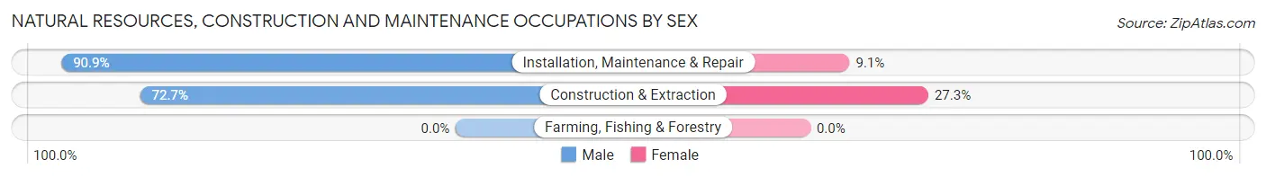 Natural Resources, Construction and Maintenance Occupations by Sex in Fromberg