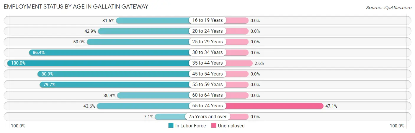 Employment Status by Age in Gallatin Gateway
