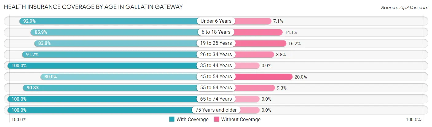 Health Insurance Coverage by Age in Gallatin Gateway