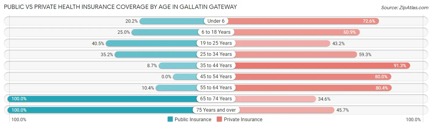 Public vs Private Health Insurance Coverage by Age in Gallatin Gateway