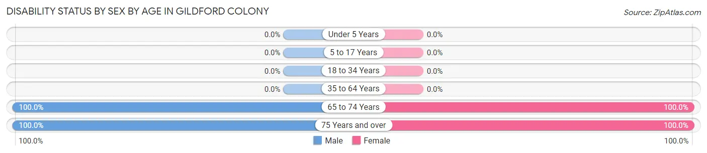 Disability Status by Sex by Age in Gildford Colony
