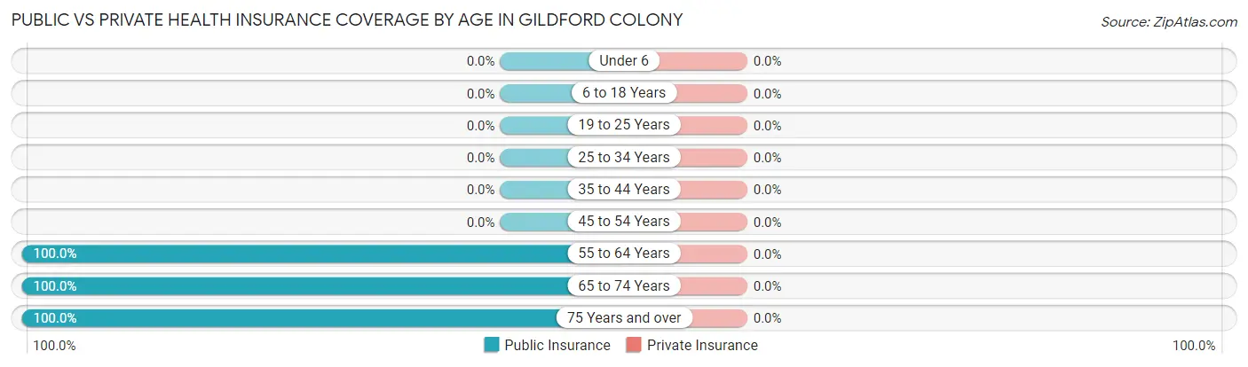 Public vs Private Health Insurance Coverage by Age in Gildford Colony