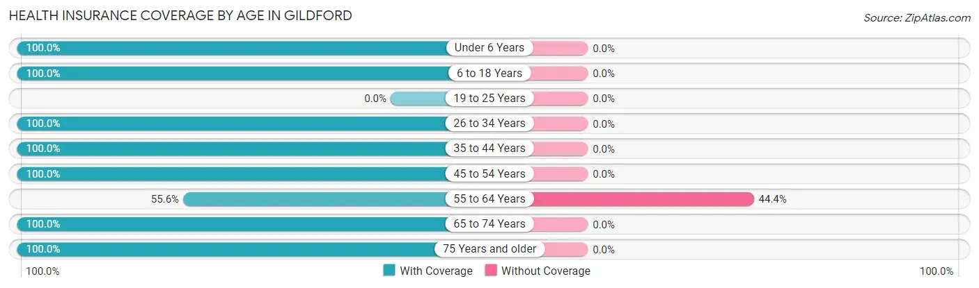 Health Insurance Coverage by Age in Gildford