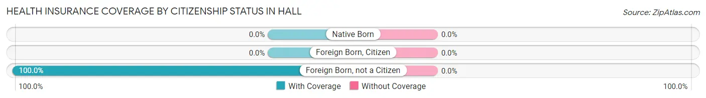 Health Insurance Coverage by Citizenship Status in Hall