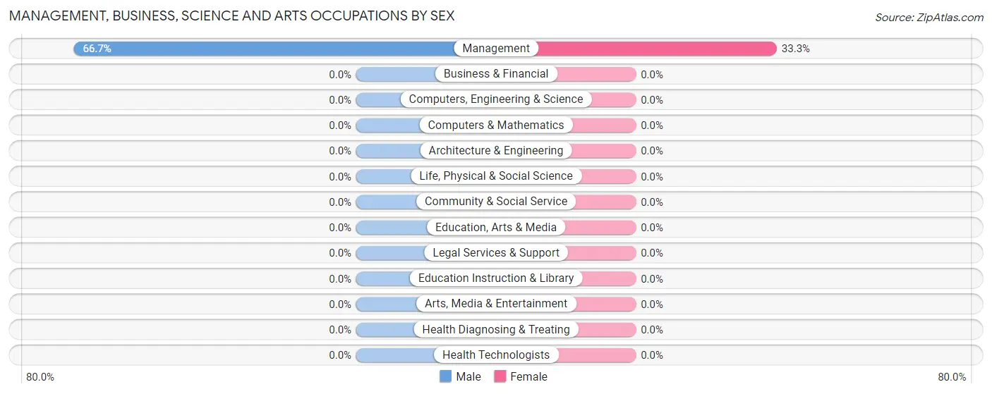 Management, Business, Science and Arts Occupations by Sex in Happys Inn