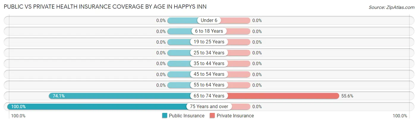 Public vs Private Health Insurance Coverage by Age in Happys Inn