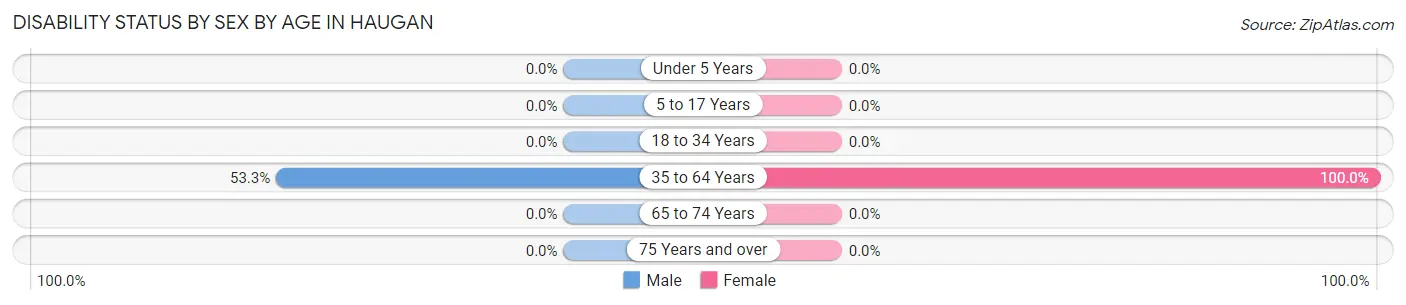 Disability Status by Sex by Age in Haugan
