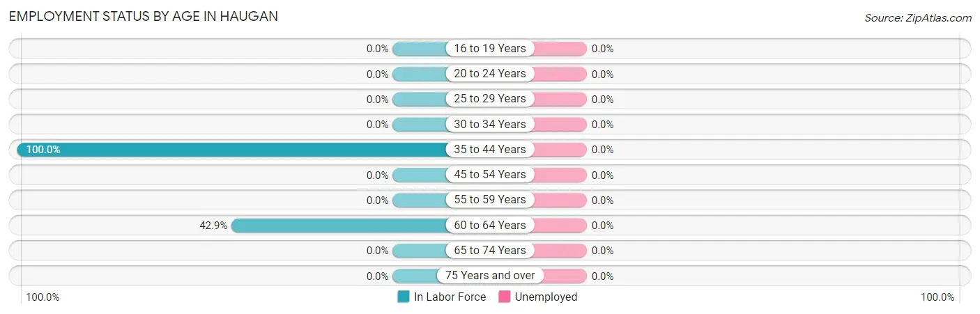 Employment Status by Age in Haugan