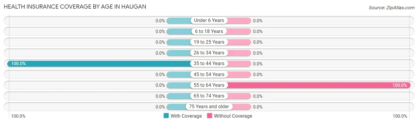 Health Insurance Coverage by Age in Haugan