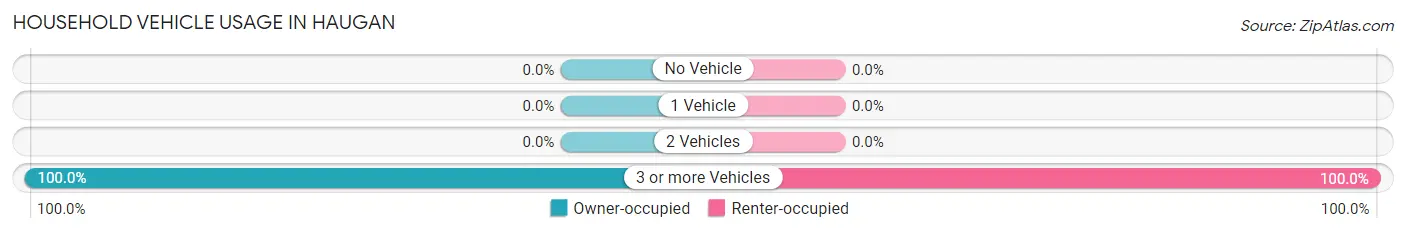 Household Vehicle Usage in Haugan