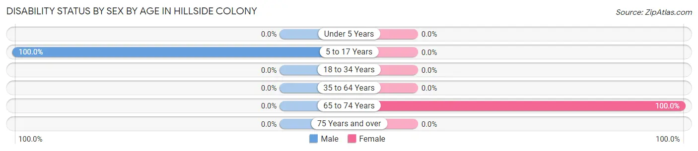 Disability Status by Sex by Age in Hillside Colony
