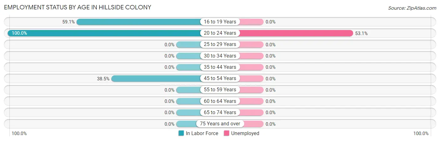 Employment Status by Age in Hillside Colony