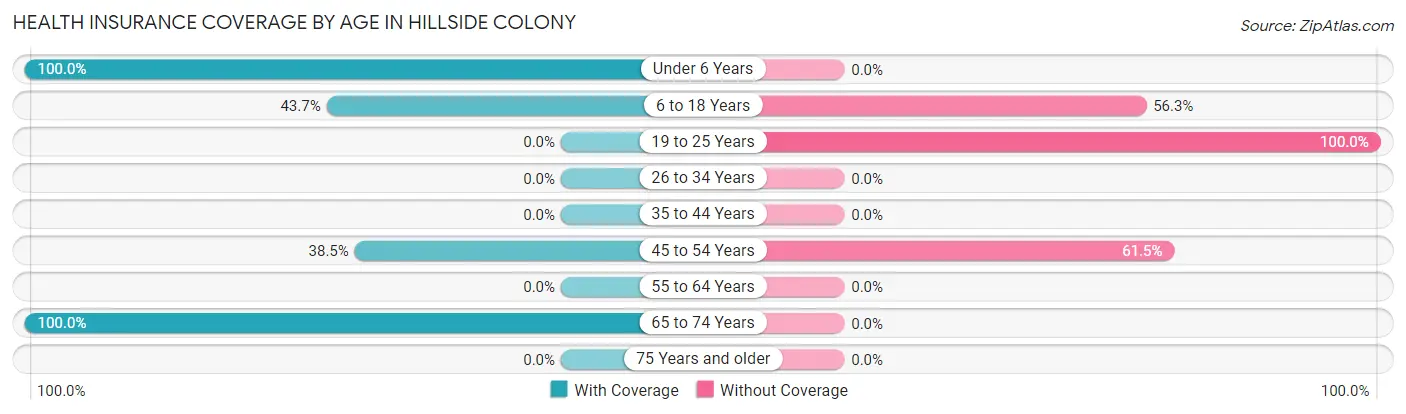 Health Insurance Coverage by Age in Hillside Colony