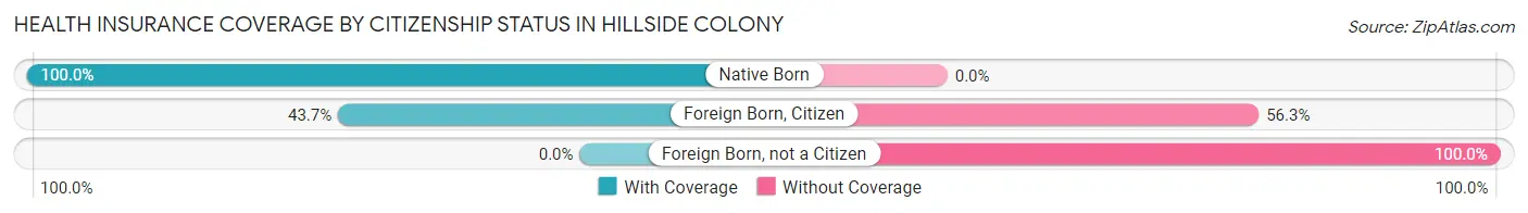 Health Insurance Coverage by Citizenship Status in Hillside Colony