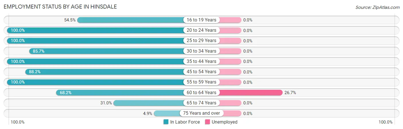 Employment Status by Age in Hinsdale